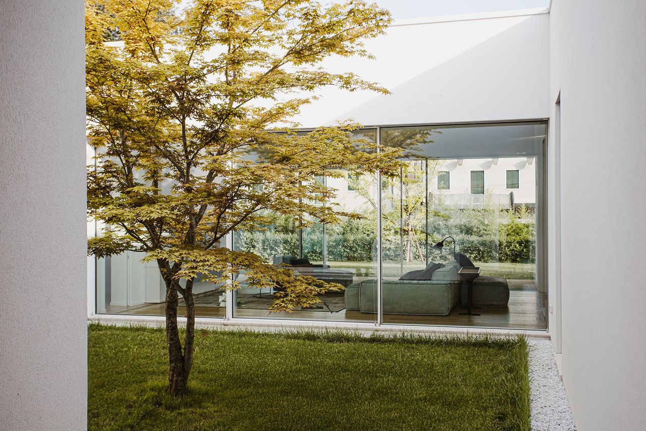 Xtravision_FL_Selvana(10)