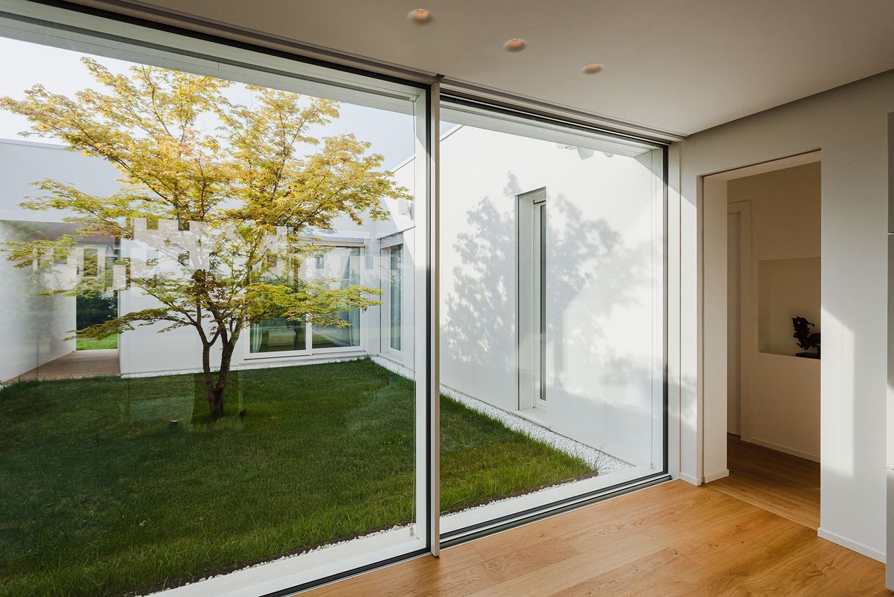 Xtravision_FL_Selvana(6)